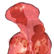 Meat 1